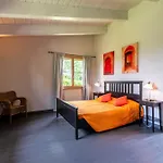 Cignella 3*