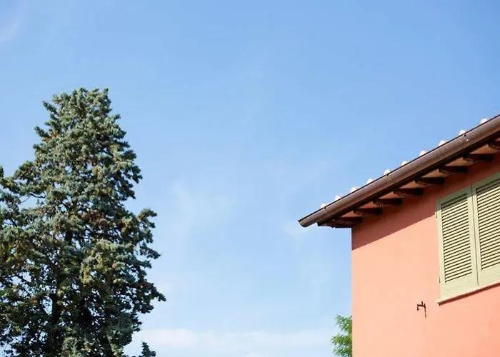 Cignella トレクアンダ